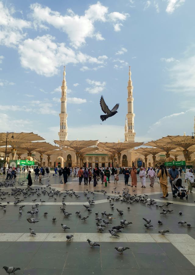 Medina